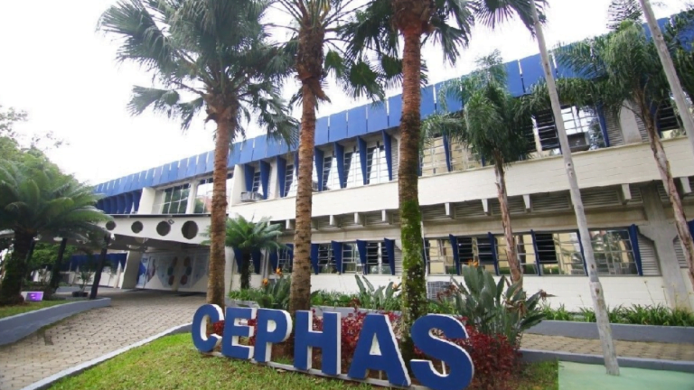 Cephas oferece mais de 2 mil vagas para curso de qualificação