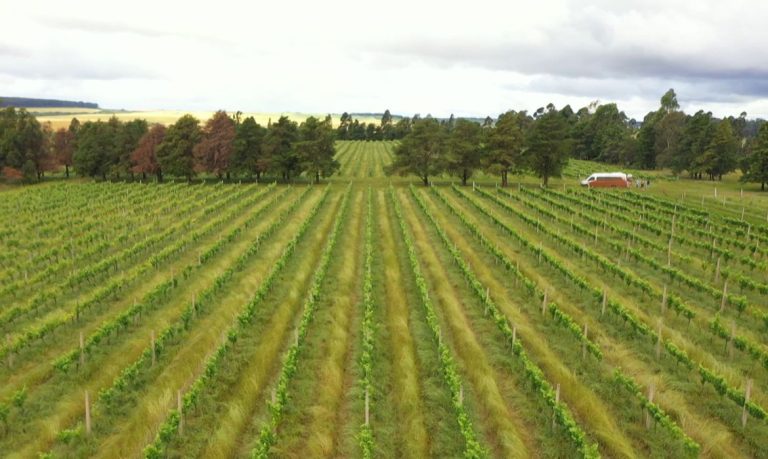 Defensoria Pública: Empresas que utilizam trabalho escravo terão terras e bens confiscados