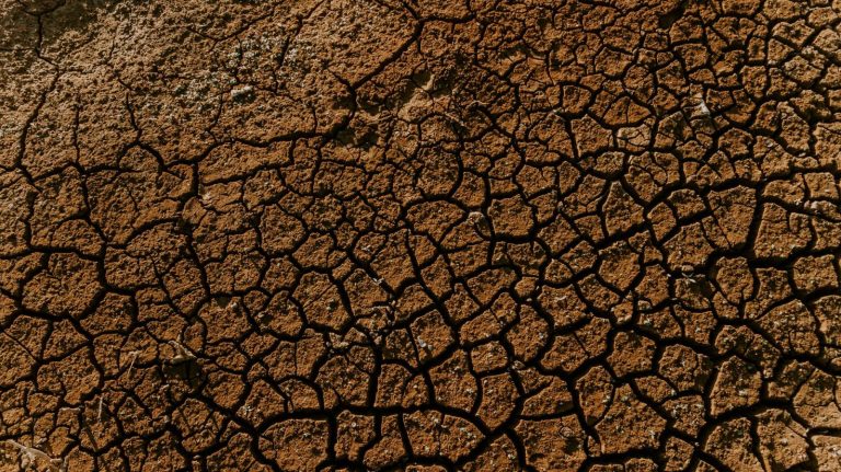 ONU alerta para “risco iminente” de escassez de água em nível global