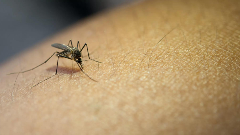 Jacareí confirma segunda morte por dengue em 2024