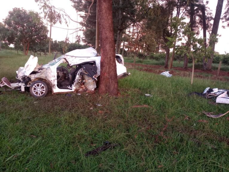Colisão de carro com árvore causa morte de motorista na região de Ribeirão Preto