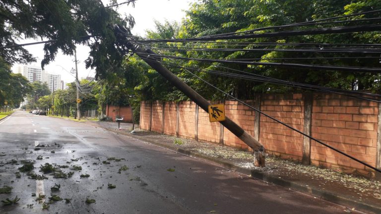 Deu a louca nos postes em Ribeirão ou os motoristas estão descuidados no trânsito?