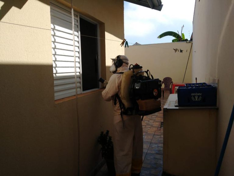 Mutirão retira 200 kg de criadouros da dengue em Ribeirão Preto