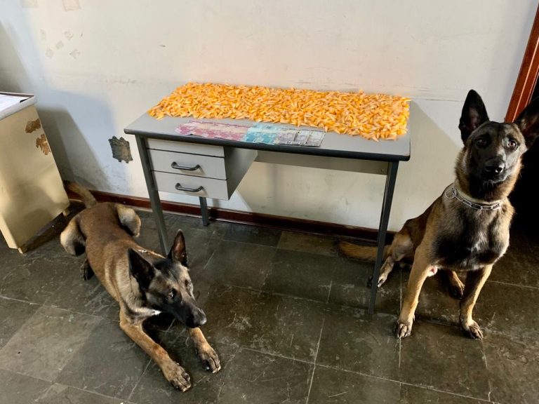 Imagens: Comunicação 10 BAEP