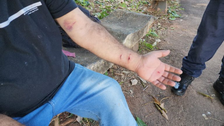 Pit bulls soltos e sem focinheira matam cão em Limeira