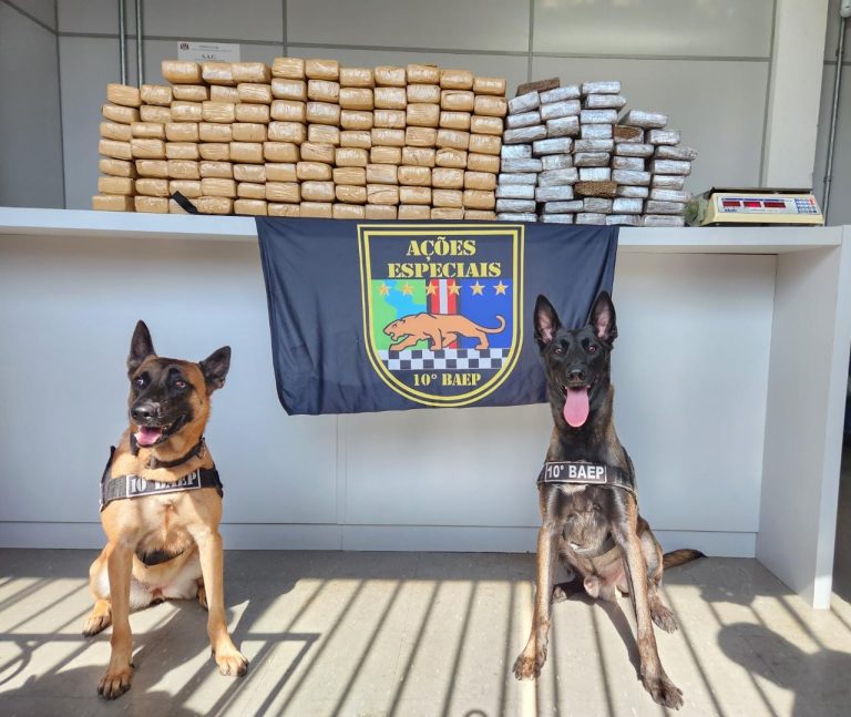 BAEP prende foragido com 138kg de maconha