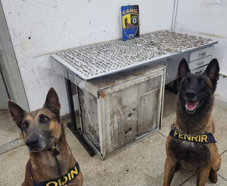 GCM apreende maconha e cocaína durante patrulhamento