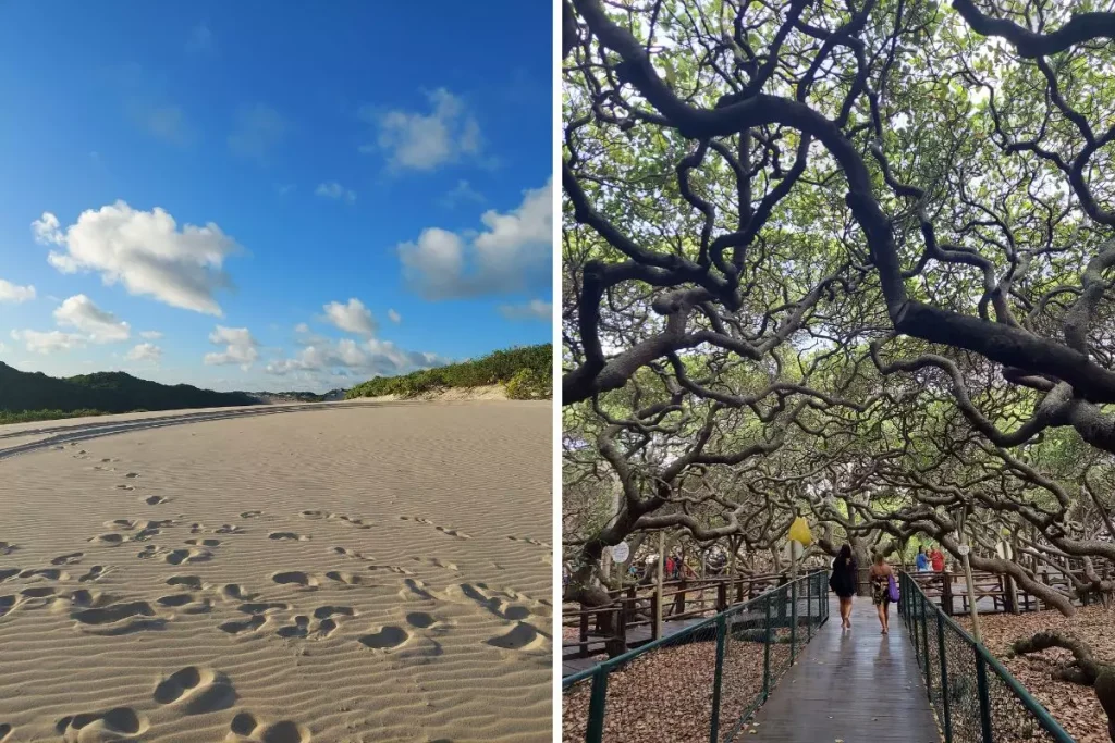 Nordeste: Pontos Turísticos Que Você Deve Conhecer - Thmais