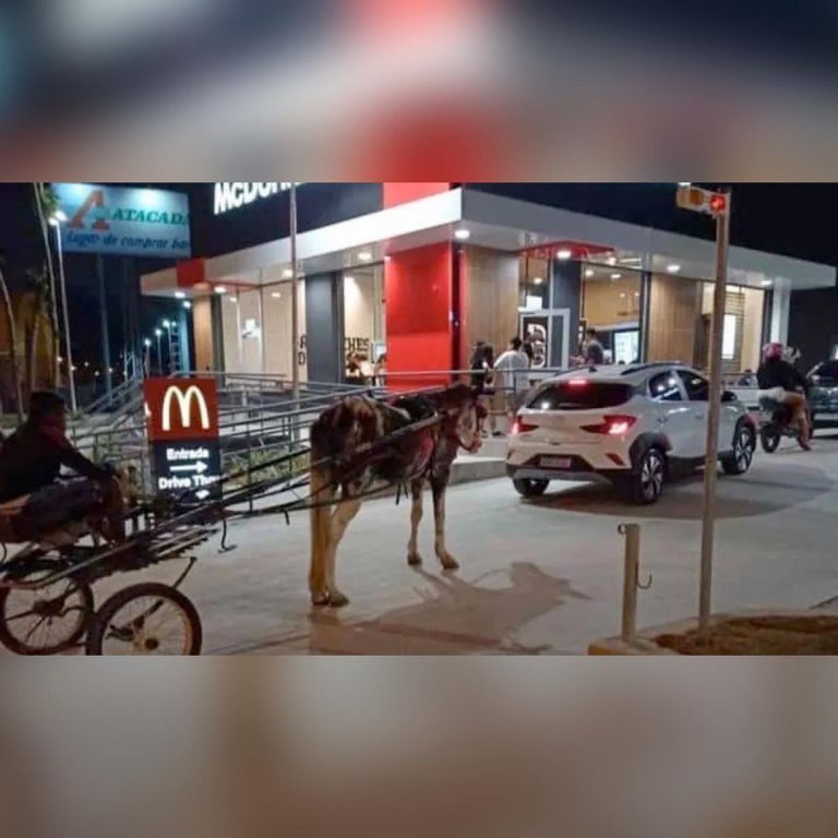 Mc Charrete, cliente faz pedido de lanche no drive-tru  de um jeito inusitado, em São Vicente