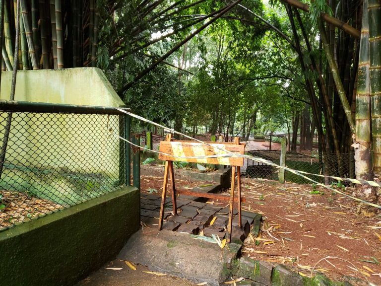 Vereador denuncia abandono e pede intervenção no Bosque Municipal