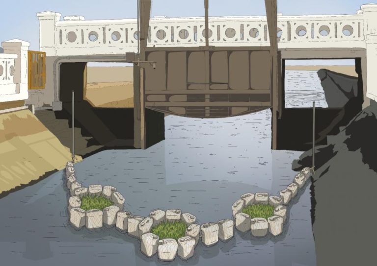 Plantas aquáticas serão usadas como barreiras nos canais de Santos