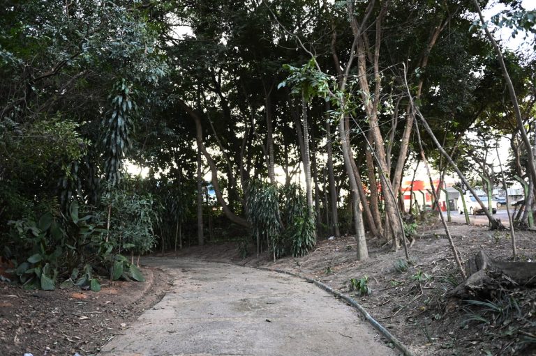 Prefeitura reabre Bosque do DIC 1, distrito do Ouro Verde, neste sábado