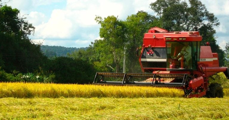 PIB da região do agronegócio paulista cresceu 15,7% em dez anos