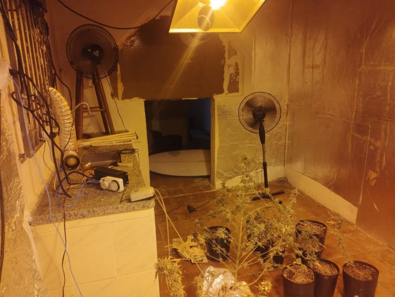 Polícia acaba com “jardim das drogas” e prende suspeito em Bertioga