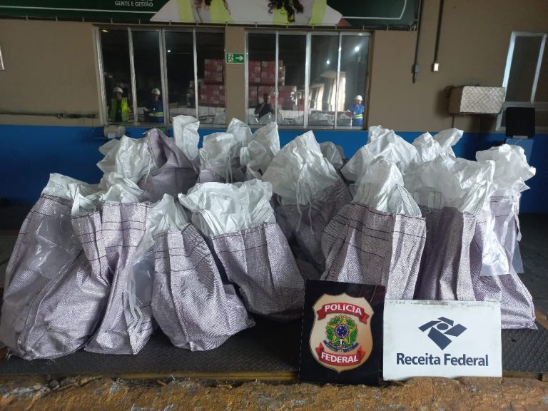 Mais de meia tonelada de drogas são apreendidas no Porto de Santos