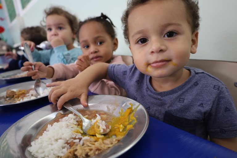 Alimentação escolar, direito constitucional