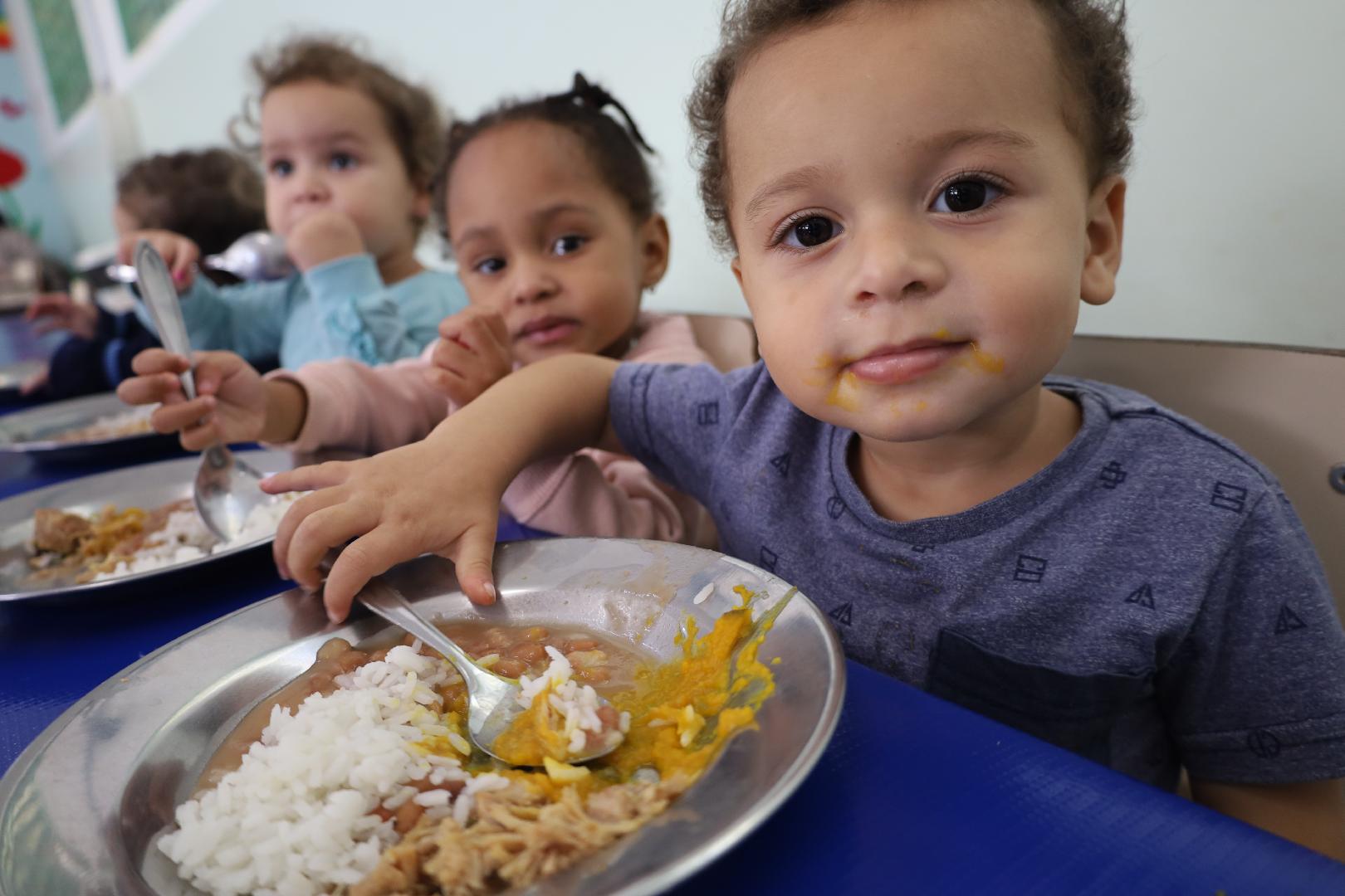 Alimentação escolar, direito constitucional