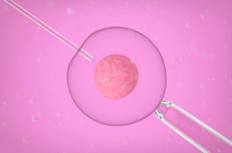 cientistas criam embrião humano sintético