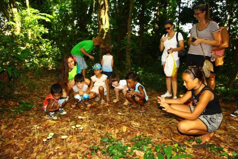 Jardim Botânico de Santos oferece atividades de férias escolares
