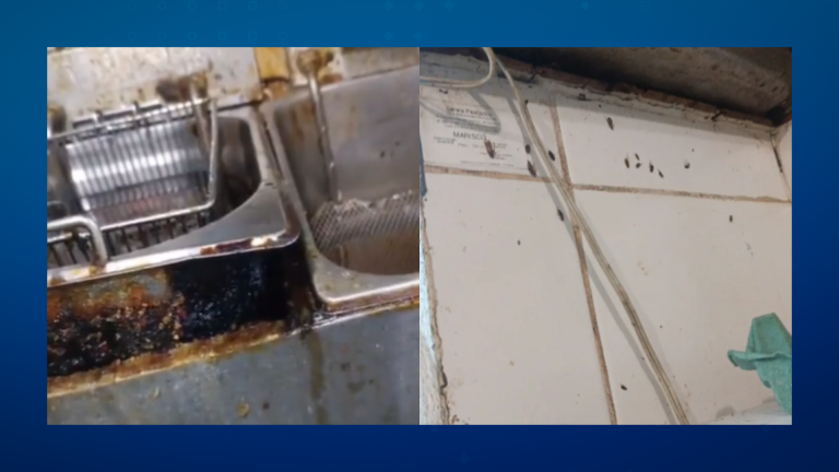 VÍDEO -Sujeira e baratas: Restaurante de Santos tem cozinha interditada