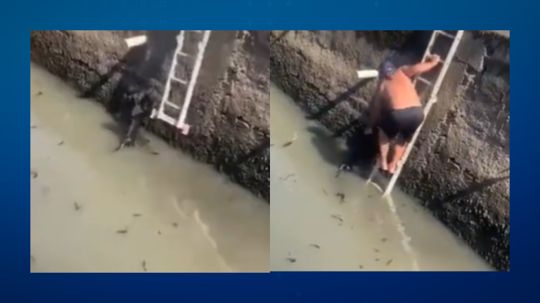 Homem resgata cachorro que havia caído em canal de São Vicente