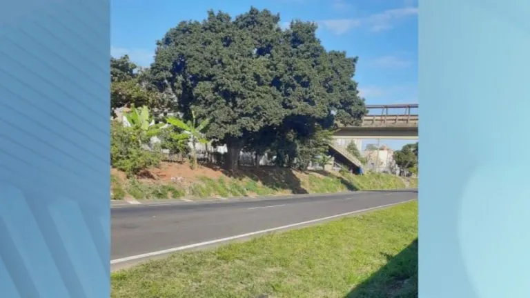 Corpo de homem é encontrado na Rod. Luiz de Queiroz, em Americana