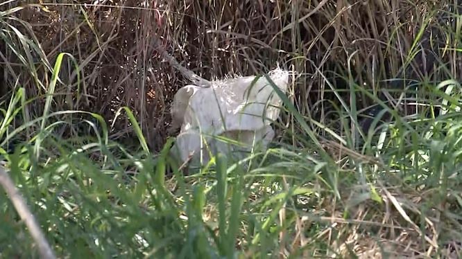 Explosivos: 20 bananas de dinamites estavam em obra da Av. John Boyd Dunlop