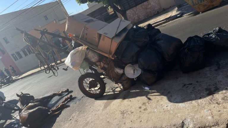 Em ocorrência de maus-tratos, suspeito aponta faca para policiais