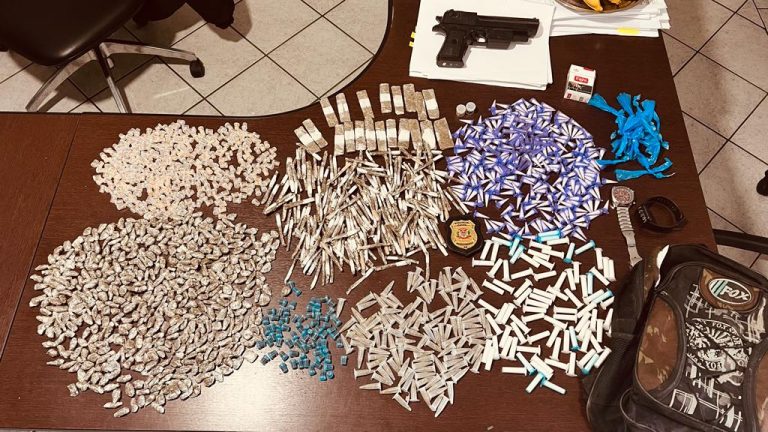 Polícia apreende 1,6 mil porções de drogas no Litoral Sul e homem é preso