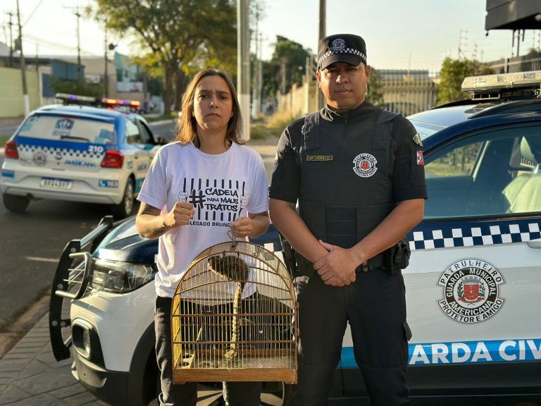 Sagui é salvo de venda ilegal em Americana