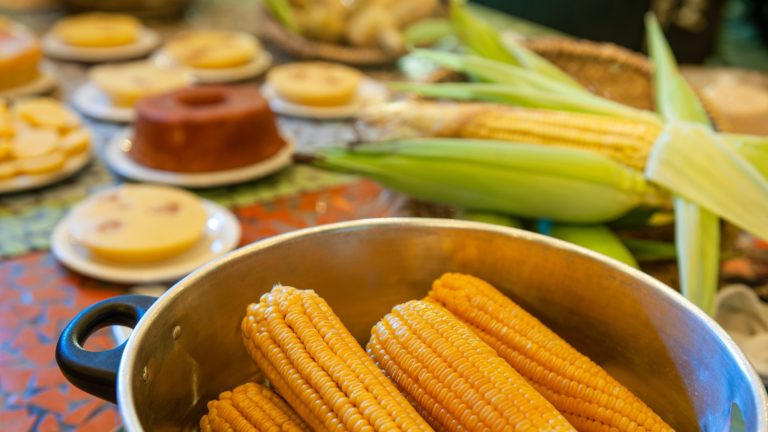 festa do milho jacareí