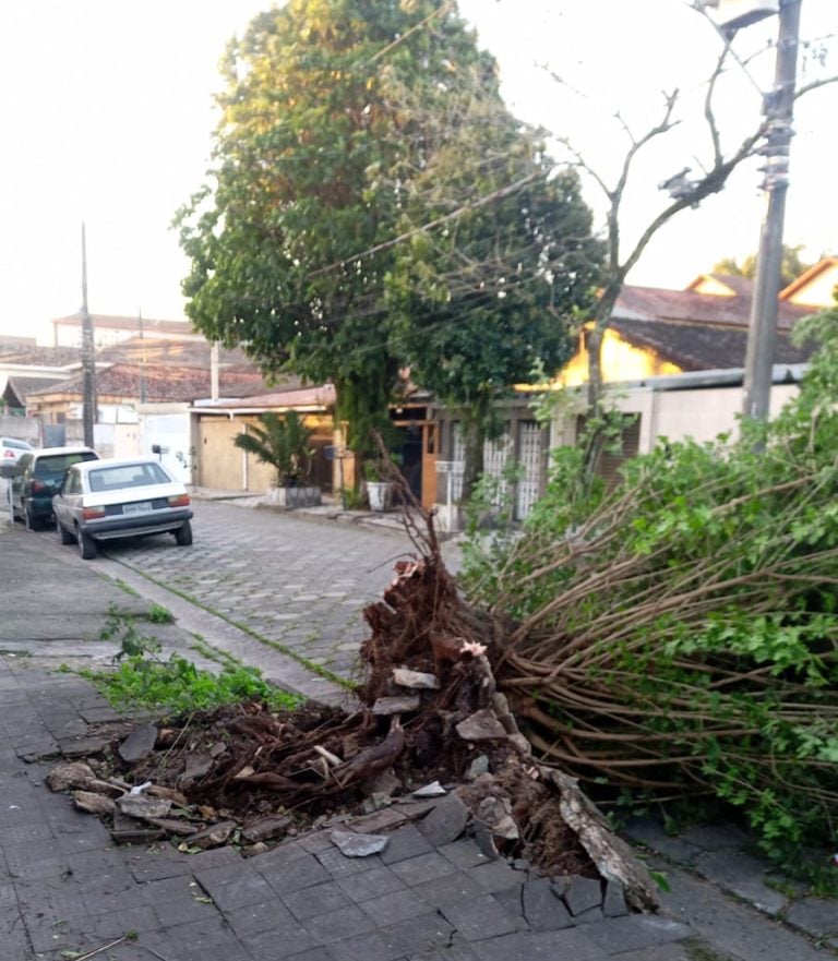 VÍDEO – Vendaval gera impactos e cancelamentos de eventos na Baixada Santista