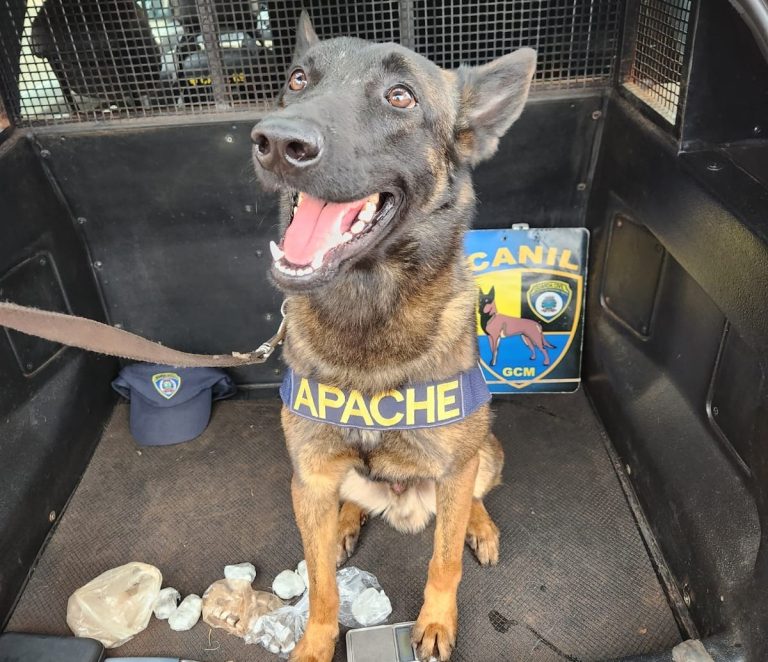 Menor é conduzido à Delegacia portando drogas perto de Centro Educacional