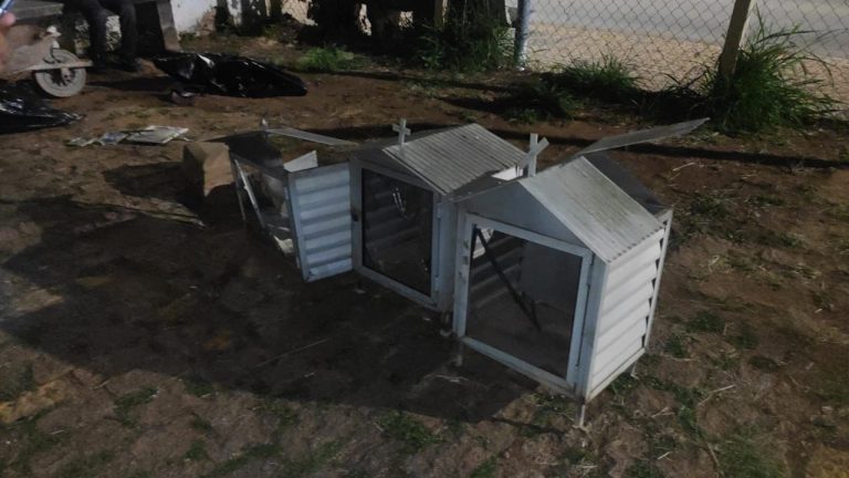 O suspeito já tinha passagem criminal por furto