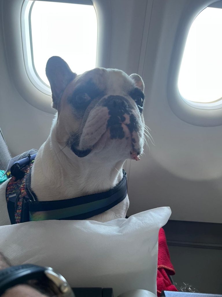 Voo da  discórdia:  Família de Americana luta para embarcar Logan