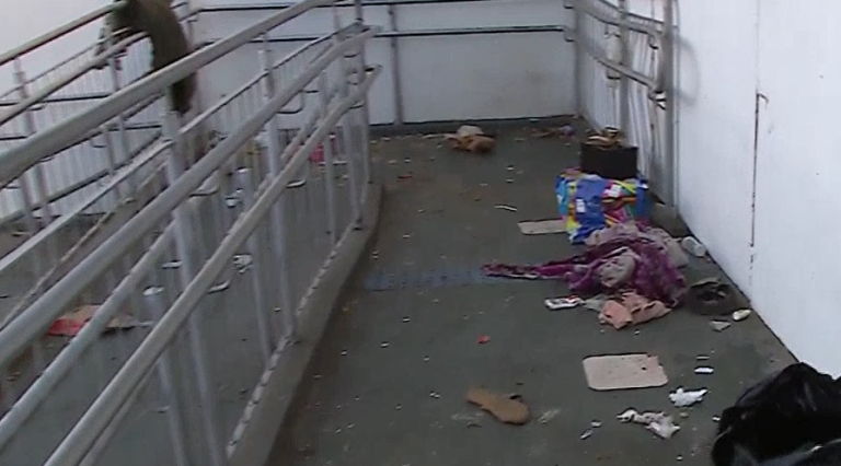 Crime bárbaro: polícia investiga morte de homem espancado e queimado no Campo Grande em Campinas