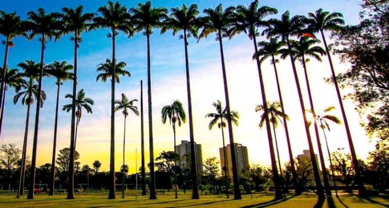 Parque da Cidade promove festa Julina neste final de semana em São José