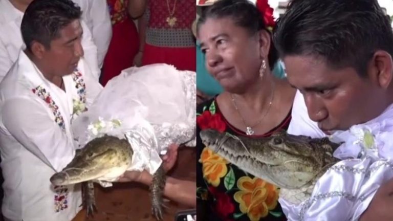 Prefeito se casa com crocodilo em cerimônia no México