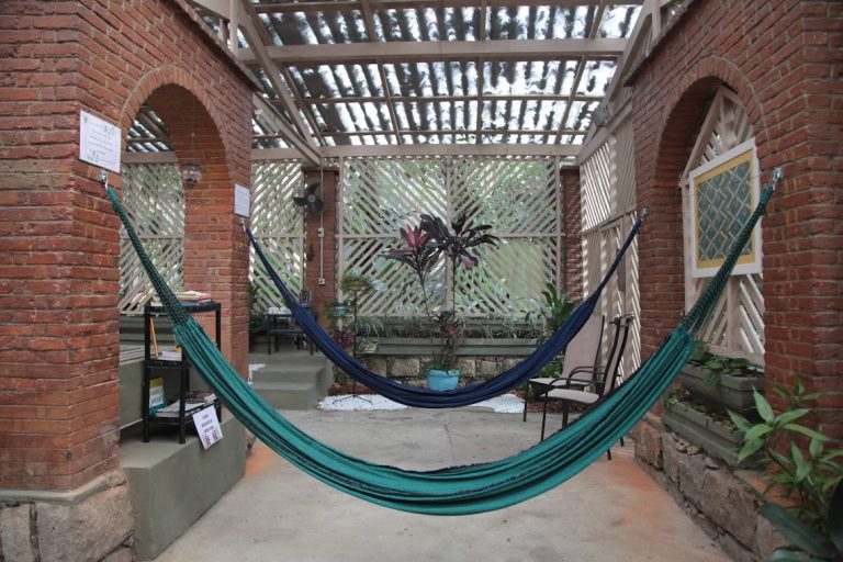 Orquidário tem área para relaxar com a natureza