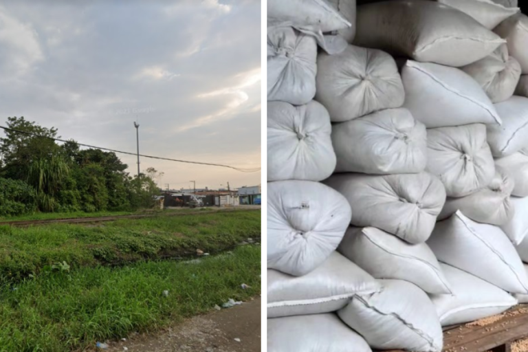 8,5 toneladas de milho em casa: Casal do Guarujá é preso por receptação