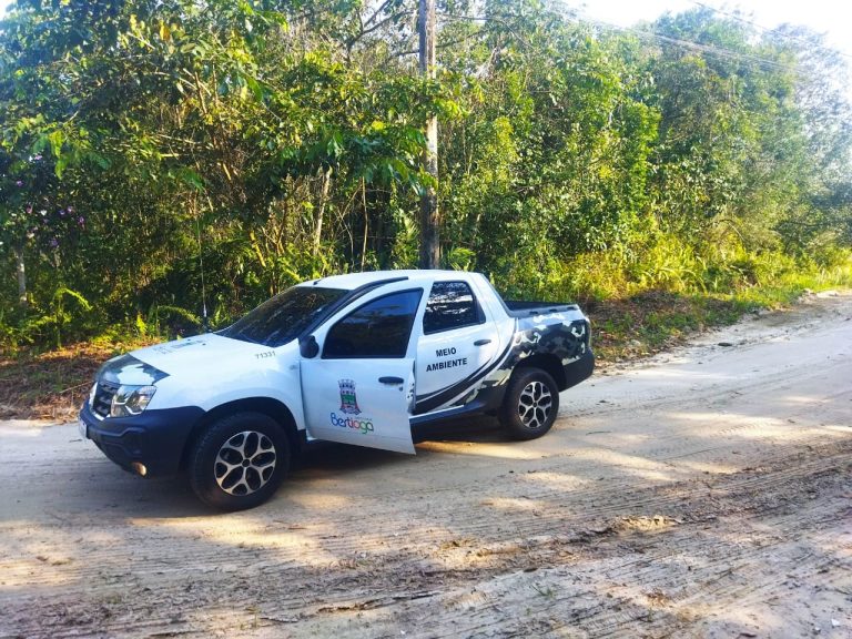 Animais silvestres são salvos de área urbana em Bertioga