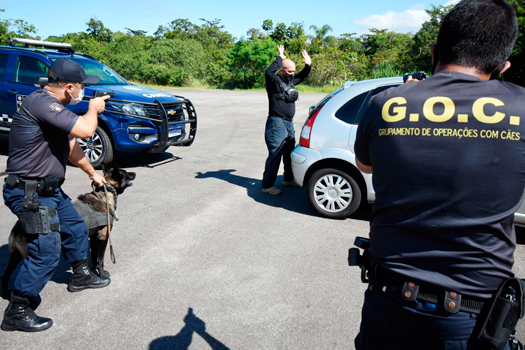 Canil da Guarda de Praia Grande “assopra” velinhas de 16 anos de existência