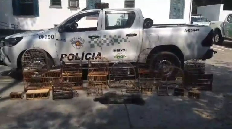 15 aves são resgatas em Santa Branca
