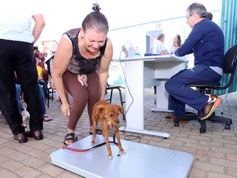 Consultório veterinário móvel chega na região do DIC 5 em Campinas