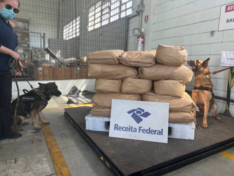 Mais de 400 Kg de cocaína são apreendidos  dentro do Porto de Santos