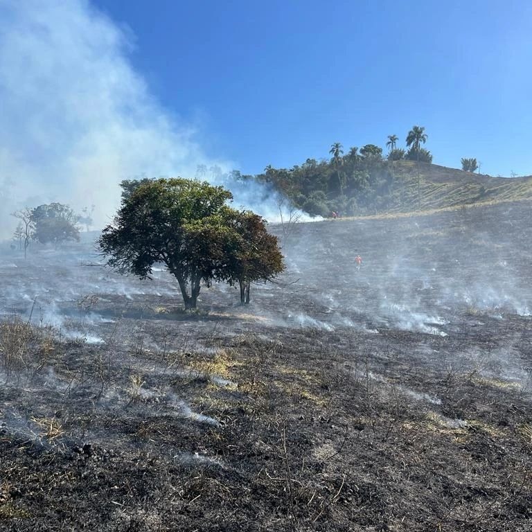 11 hectares queimados em taubaté