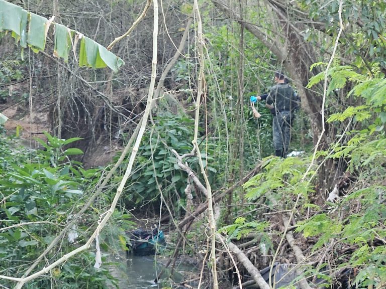 esquartejar esposa em sjc