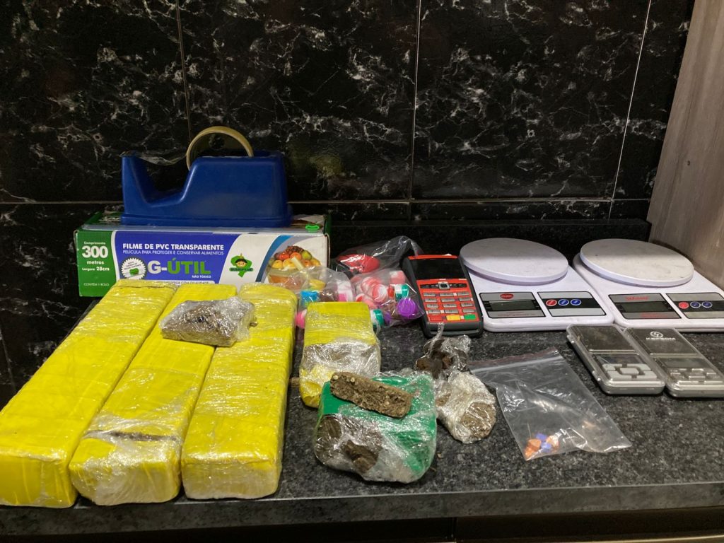 plantação de maconha