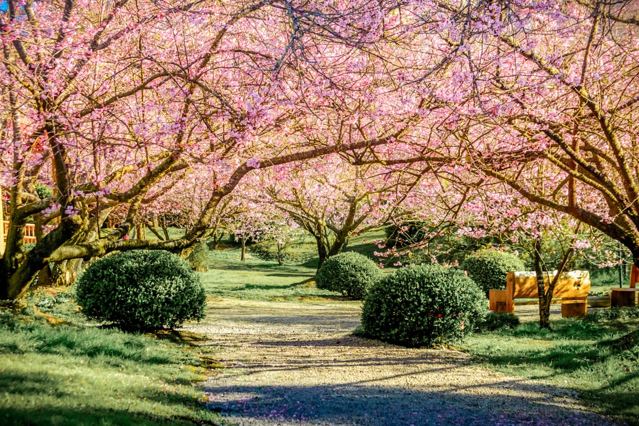 Dia dos Pais em Campos do Jordão