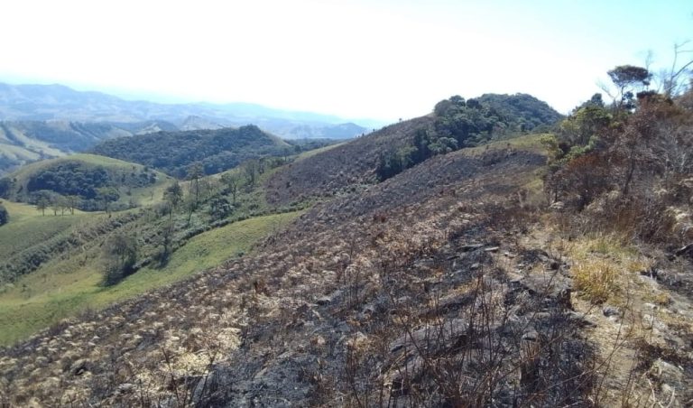 fazendeira fogo cunha